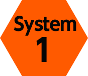 System01