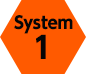 System01